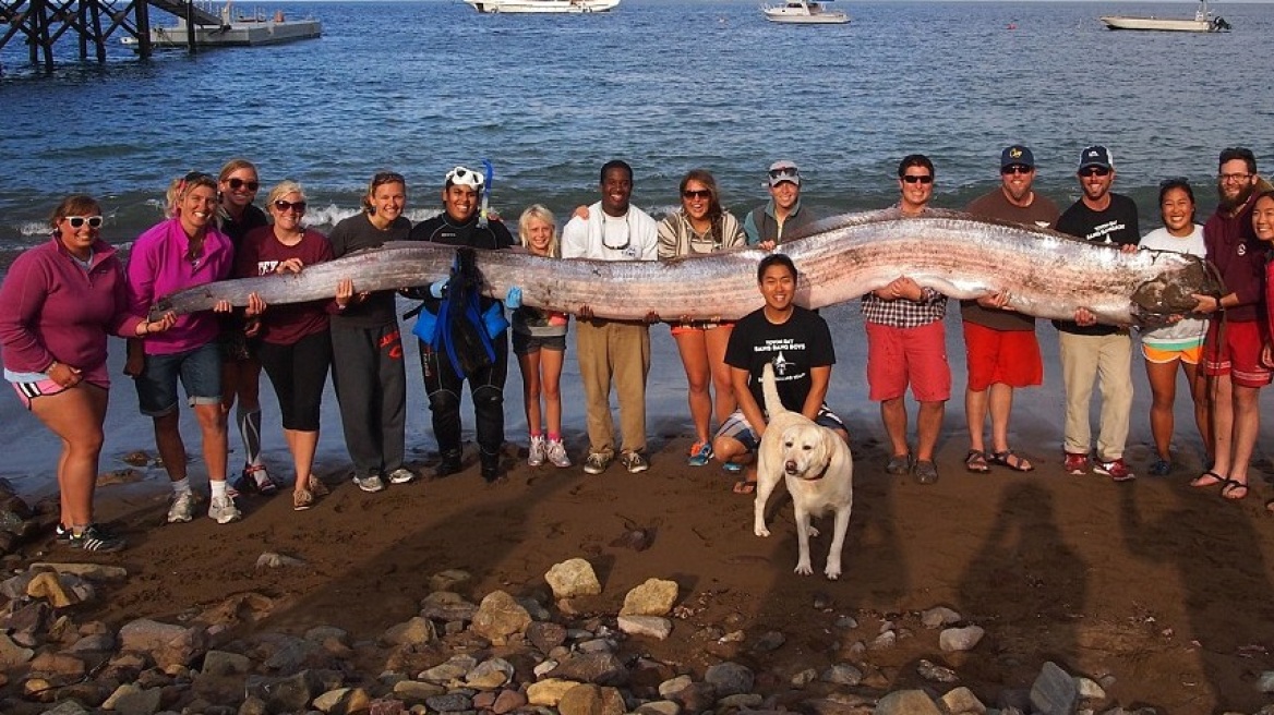Σπάνιο ψάρι-τέρας ξεβράστηκε στις ακτές της Καλιφόρνια 